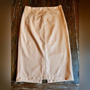 Express vegan leather, tan pencil skirt